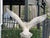 Sculpture Materials Vintage Life-Size Seagull Garden Sculpture – Coastal Nautical Outdoor Statue For Sale - Image 7 of 12