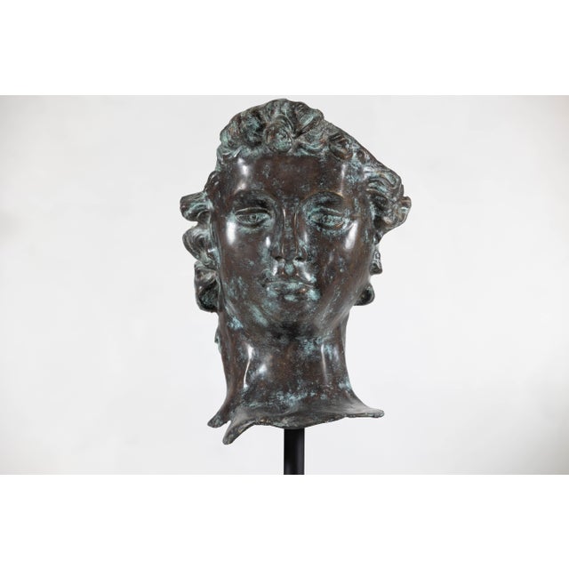 Metal Bronze Renaissance-Inspired David Head Sculpture on Black Marble Base For Sale - Image 7 of 12