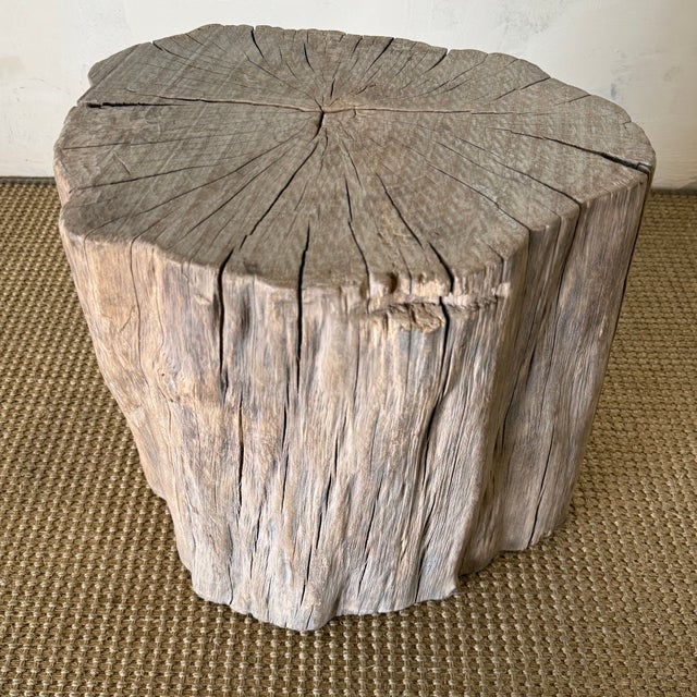 1920s Antique Elm Wood Stump Table For Sale - Image 5 of 7