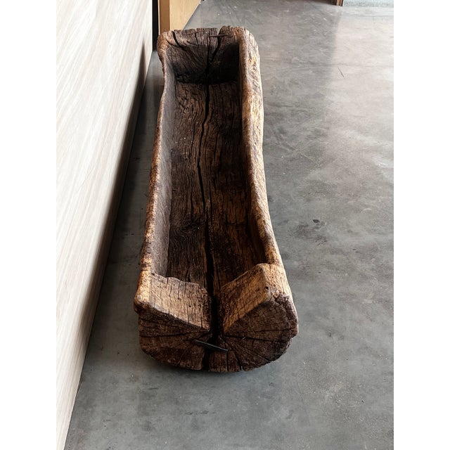 Spanish Antique & Brutalist Hollowed Out Tree Trunk Wooden Planter, 1700 For Sale - Image 6 of 12