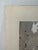 1940s Original Signed Graphite Illustration of English Setter in Woodland Landscape, 11.75 × 9 In. For Sale - Image 4 of 6