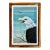 American Bald Eagle Framed Animal Art, Oil on Canvas Lynn Chase Signed 1980 For Sale