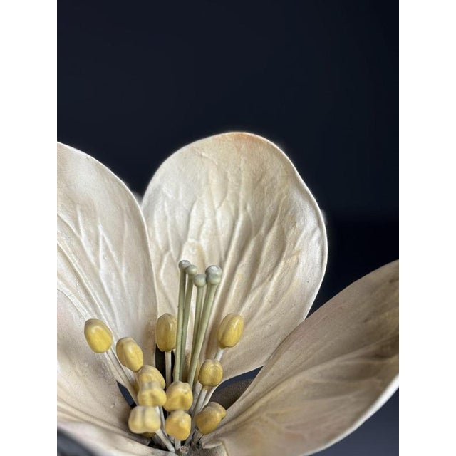 German Botanical Floral Model, 1900 For Sale - Image 18 of 18