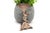 Silver Toothpick Holder with Cherub and Fan For Sale - Image 6 of 6