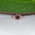 2020s 1.4Ct Red Spinel Ring With Pink Sapphire Accents: Solid 14k Gold, Size 6.75 For Sale - Image 5 of 9