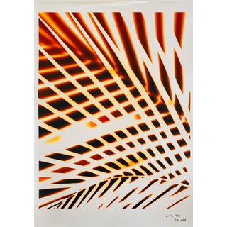 Jeffrey Rothstein, Flora Fauna Series Vintage Color Photograph Abstract Flower Fuji Crystal Photo, c.1998 For Sale