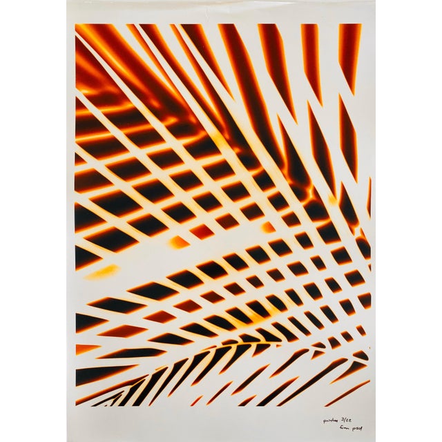 Jeffrey Rothstein, Flora Fauna Series Vintage Color Photograph Abstract Flower Fuji Crystal Photo, c.1998 For Sale