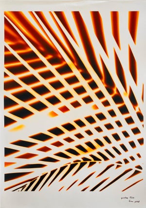 Jeffrey Rothstein, Flora Fauna Series Vintage Color Photograph Abstract Flower Fuji Crystal Photo, c.1998