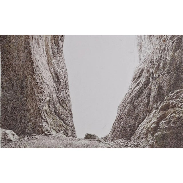 Elzbieta Siegoczynska is a Polish painter who studied painting at the Academy of Fine Arts in Warsaw (from 1964 to 1970),...