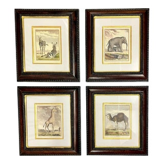 Vintage Set 4 African Animal Engravings Custom Framed For Sale