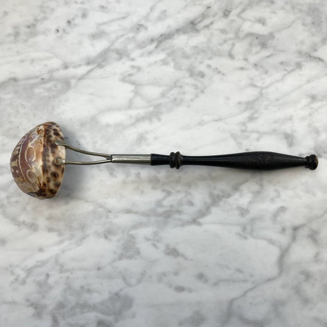 Art Nouveau 19th Century Hand Carved Cowry Shell Ladle Set - a Pair For Sale - Image 3 of 12
