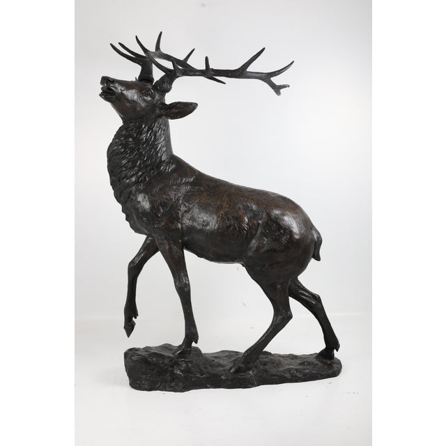 Brown Stag Sculpture, 1910, Bronze For Sale - Image 8 of 18