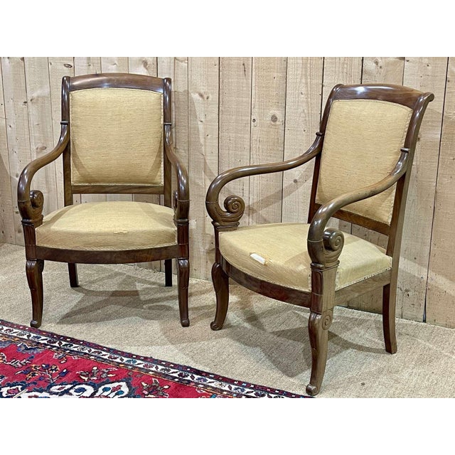 Set of Armchairs in Mahogany For Sale - Image 11 of 15