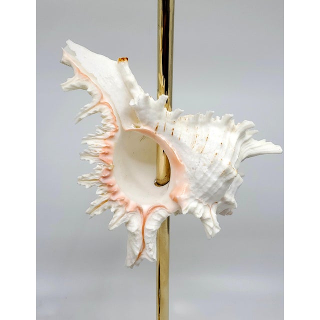 Brass Candlesticks Shells Seashells Pair For Sale - Image 12 of 15