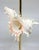 Brass Candlesticks Shells Seashells Pair For Sale - Image 12 of 15