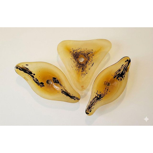 Mid-Century Modern Mid-Century Murano Style Asymmetrical Amber & Tortoiseshell Blown Glass Wall Art Installation Plates - Set of 3 For Sale - Image 3 of 10