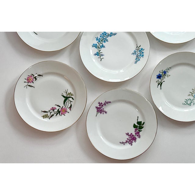 Victorian Limoges Porcelain Dinner Plates From 1880 - Set of 8 For Sale - Image 3 of 16