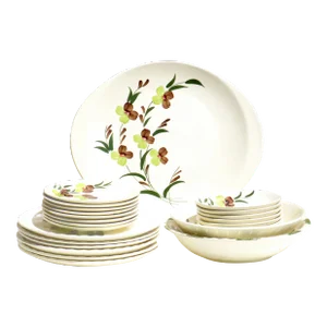 1950s Blue Ridge / Southern Potteries Sunny Spray Dinnerware, 6+ Place Settings / Serving 25 Pieces
