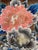 Pink Framed Japanese Futon Cover Textile Art with Resist Yuzen Dye For Sale - Image 8 of 9