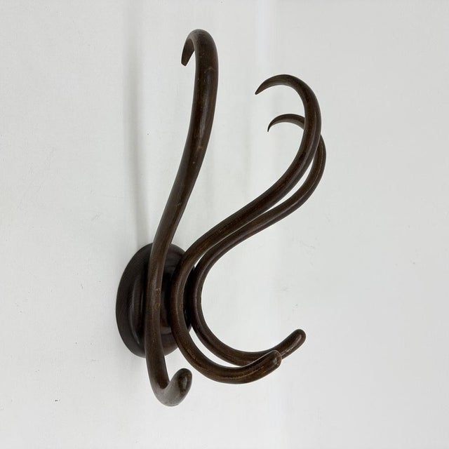 Antique Bentwood Wall Mounted Coat Rack, 1930s For Sale - Image 9 of 18