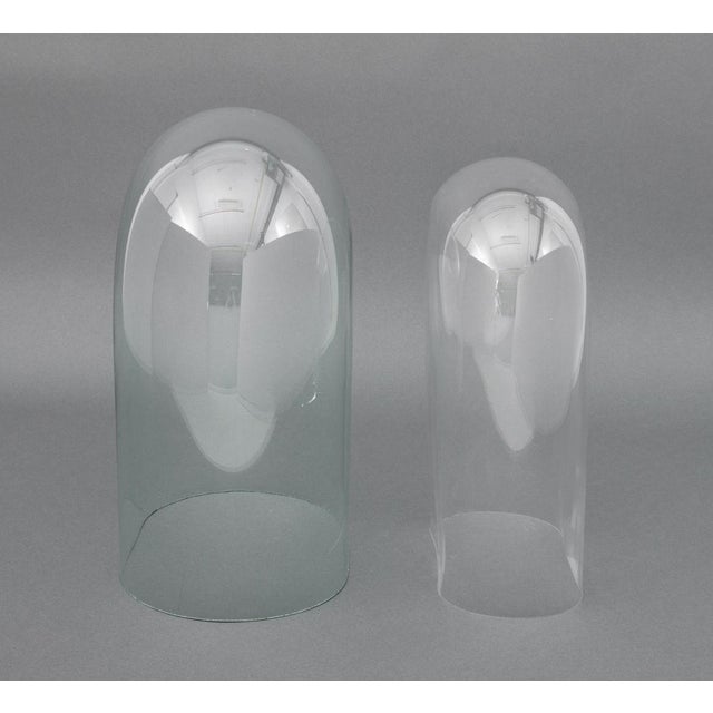 Transparent Victorian Glass Display Domes, 2 For Sale - Image 8 of 9