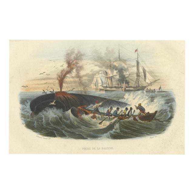 After Édouard Traviès, Whale Hunt, 1840, Hand-Colored Engraving For Sale