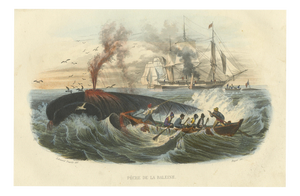 After Édouard Traviès, Whale Hunt, 1840, Hand-Colored Engraving