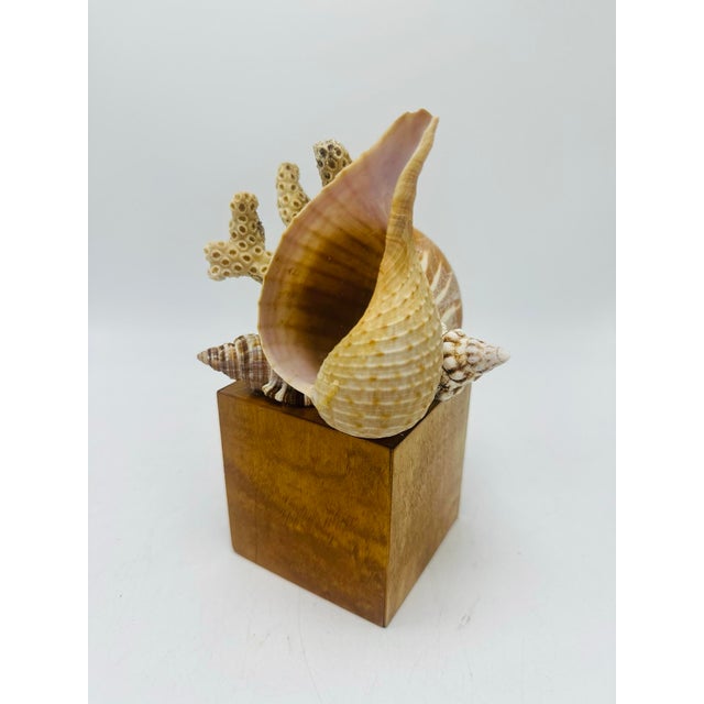 Coastal Vintage Handmade Shell Sculpture For Sale - Image 3 of 6