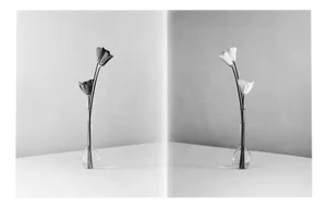 Ugne Pouwell, In Parallel, 2024, Photography