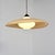 Pendant light designed by Louis Christiaan Kalff for Philips circa 1960. The light fixture consists of a large, circular...