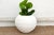 Ceramic Sculptural Greek Sphere Shaped Planter For Sale - Image 7 of 7