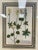 18th Century Set of Four 18th Century Hand-Colored Botanical Engravings by Johann Weinmann For Sale - Image 5 of 5