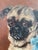 Antique Dog Oil Painting Moody Portrait of a Pug For Sale - Image 4 of 12