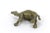 Large Vintage Solid Brass Camel Vintage Brass With Patina For Sale - Image 9 of 10