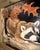 Original Wildlife Painting Pair by Patti Gilley – "Night Crawler" & "Peek-a-Boo" Raccoon Art For Sale - Image 12 of 18
