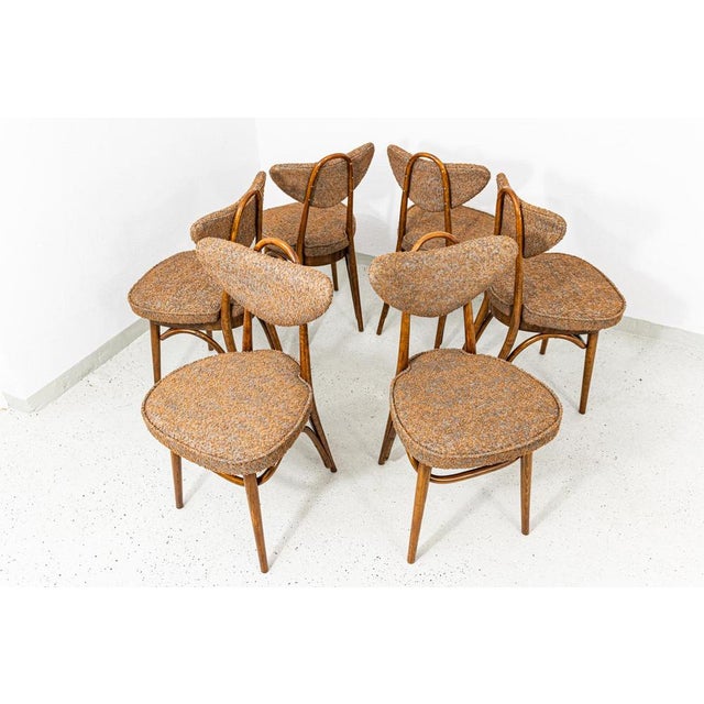 Model No. 124 Chairs attributed to Helena & Jerzy Kurmanowicz, Poland, 1960s, Set of 6 For Sale - Image 4 of 18