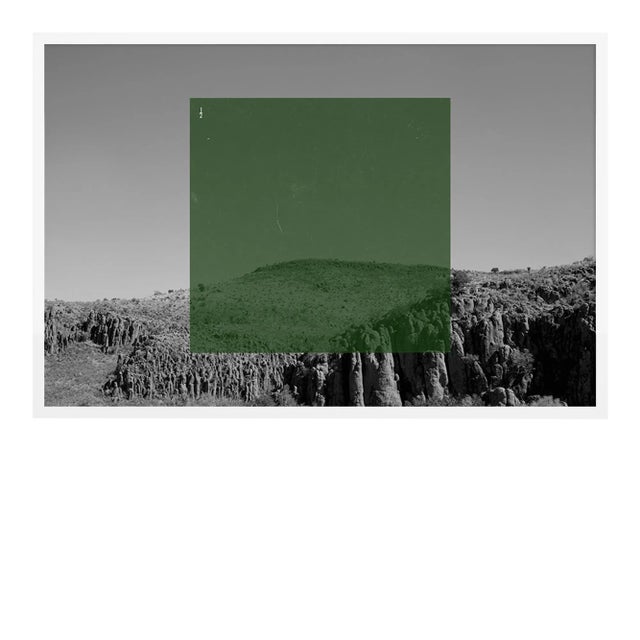 Green on BW2 by Riley Ryan-Wood Contemporary Photograph in White Frame, Large For Sale