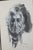 Framed charcoal wash Indigenous portrait by noted Western artist, Harley Brown (Canadian, 1939). A detailed portrait of an...