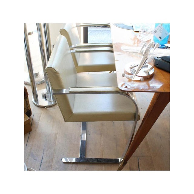 Brno Chair from Knoll, 1960s For Sale - Image 12 of 18