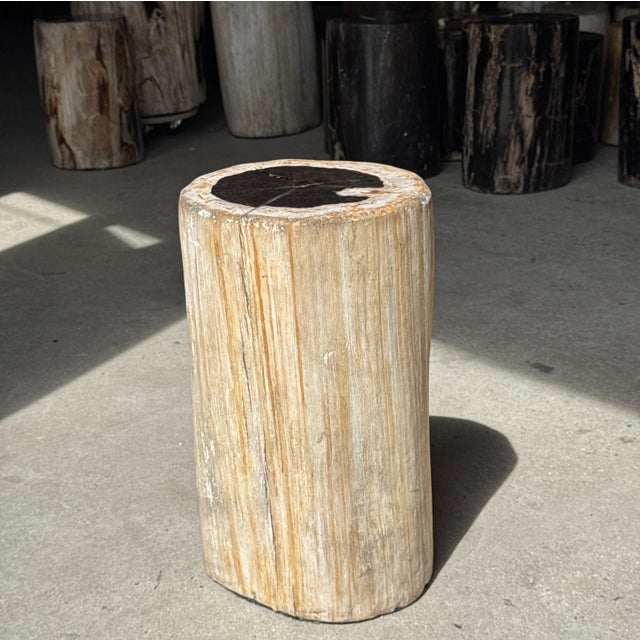 Side Table in Petrified Wood, Black Heartwood and White Bark, 1980s For Sale - Image 9 of 18