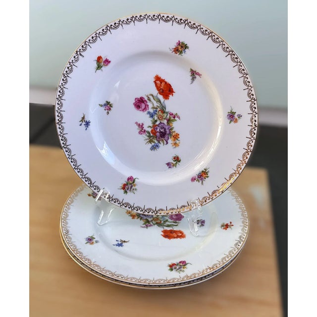 Dresden Filigree pattern. Epiag Pirkenhammer Dresden Floral Porcelain Dinner Plates. Beautiful hand painted Dresden plates...