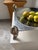 Vintage Silver-Plated Metal Fruit Bowl, 1970s For Sale - Image 3 of 18