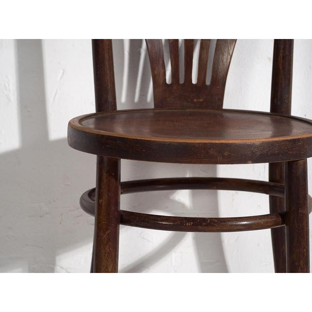 Chairs with Armrests from Thonet, 1920s, Set of 2 For Sale - Image 9 of 11