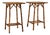 Pair of Late 19th Century Tortoise Bamboo Side Tables From France For Sale