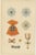 Plate LX Orders of Prussia, Black Eagle and Red Eagle Insignia, 1844 For Sale - Image 3 of 8