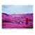 Richard Mosse the Enclave Official Exhibition Poster For Sale