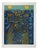 Jean-Pierre Vielfaure, Underwater Diving, Lithograph For Sale
