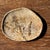 Small Oval Trinket Dish or Tray in Beige Petrified Wood with Crystal Rings, d25-20.5 -3313 For Sale - Image 17 of 18