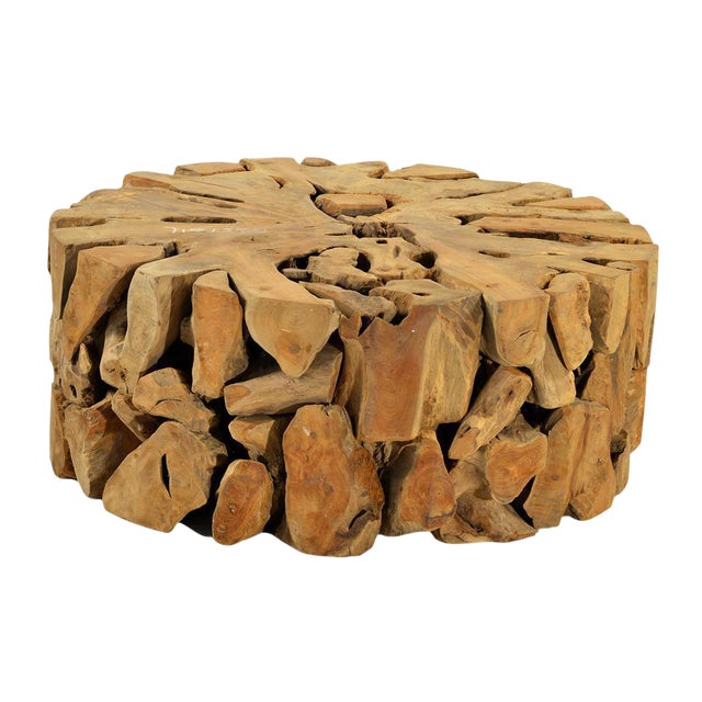 Root Coffee Table : White Finished Teak Root Coffee Table Round Glass Top Elk ... / Tree stumps stump side tables, stump end tables.