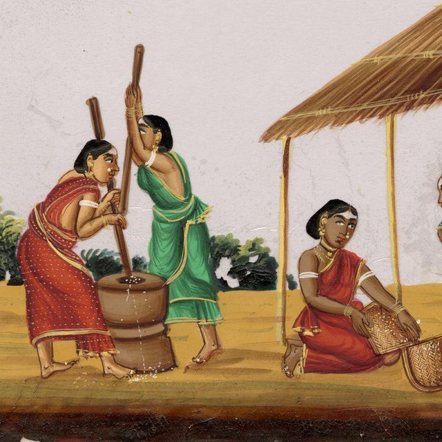 Indian Company School Women Husking the Rice, 1800s, Gouache on Paper For Sale - Image 4 of 9